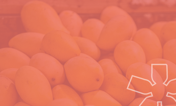 IT'S MANGO SEASON!