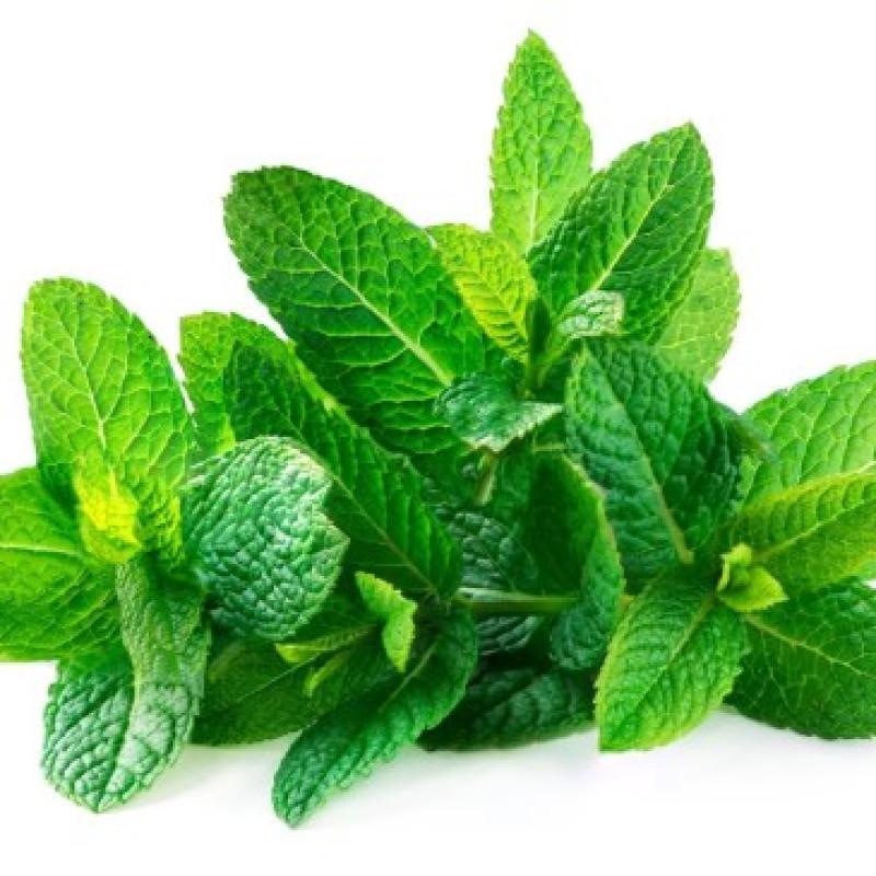 Mint Bunch 100G Bunch