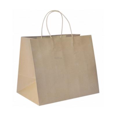 Carry Bag - BIOSERV - Brown Kraft Plain with BLACK Twist Handle - TAKEAWAY (LARGE) - 370x355+220mm - 150/CTN