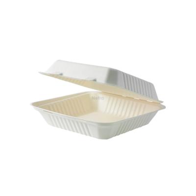 Clamshell (Sugarcane) 8“ WHITE - 205x205x40/65mm - [0220530] - BIOSERV - 200/CTN