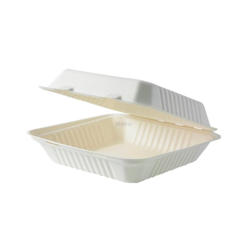 Clamshell (Sugarcane) - 9“ WHITE - 235x230x80mm - [0220550] - BIOSERV - 200/CTN