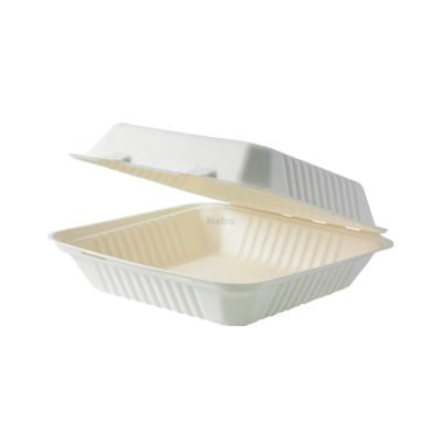 Clamshell (Sugarcane) - 9“ WHITE - 235x230x80mm - [0220550] - BIOSERV - 200/CTN