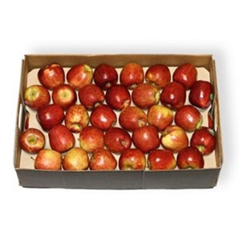 Apple Red Delicious Large 12Kg