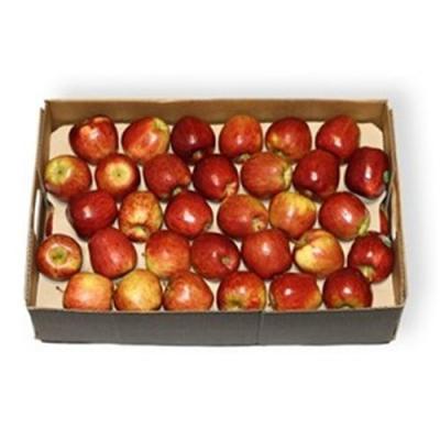 Apple Red Delicious Large 12Kg