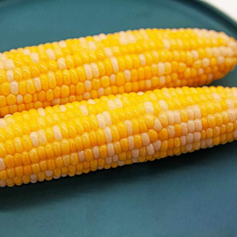 Sweet Corn (Cob)