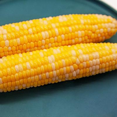 Sweet Corn (Cob)