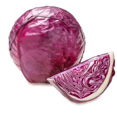 Cabbage Red Each 1.5kg