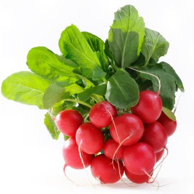 Radish Red Packet/Bunch 250G Packet