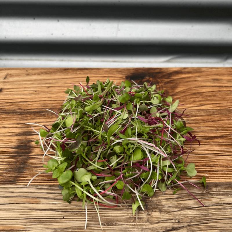 Micro Herb Mix  100G Punnet