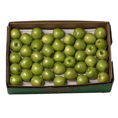 Apple Green Large 12kg Case