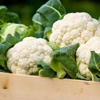 Cauliflower 16Kg Case (10Pc Per Box)