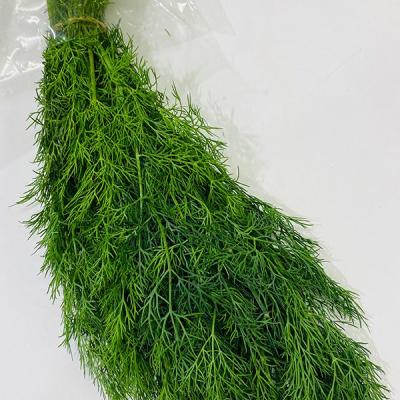 Dill Bunch 100G Bunch