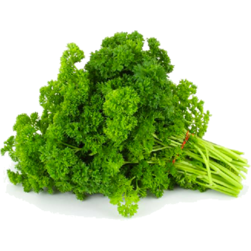 Parsley Curly Bunch 100G Bunch
