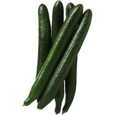 Cucumber Continental #15 Bag 6kg