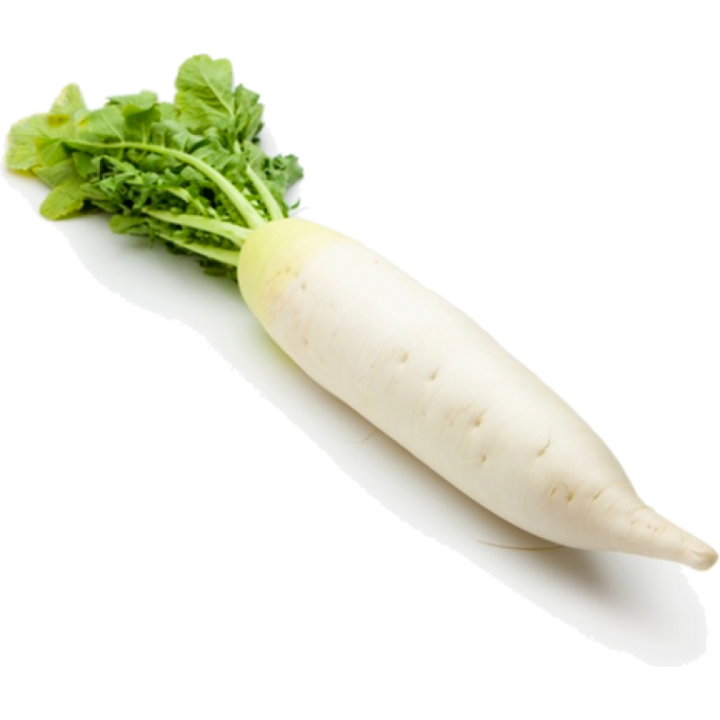 Radish Daikon/Lobok Kg/Ea