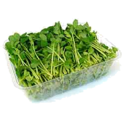 Snow Pea Sprout 100G Punnet