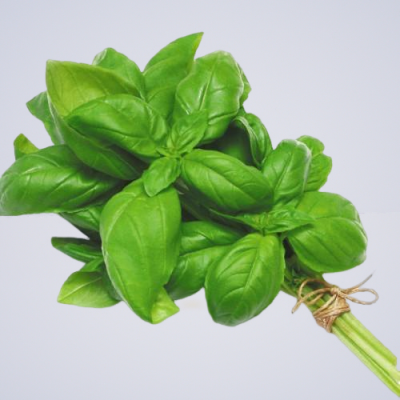 Basil Green/Sweet 100G Bunch