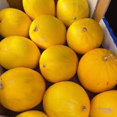 Melon Candy 14Kg Tray