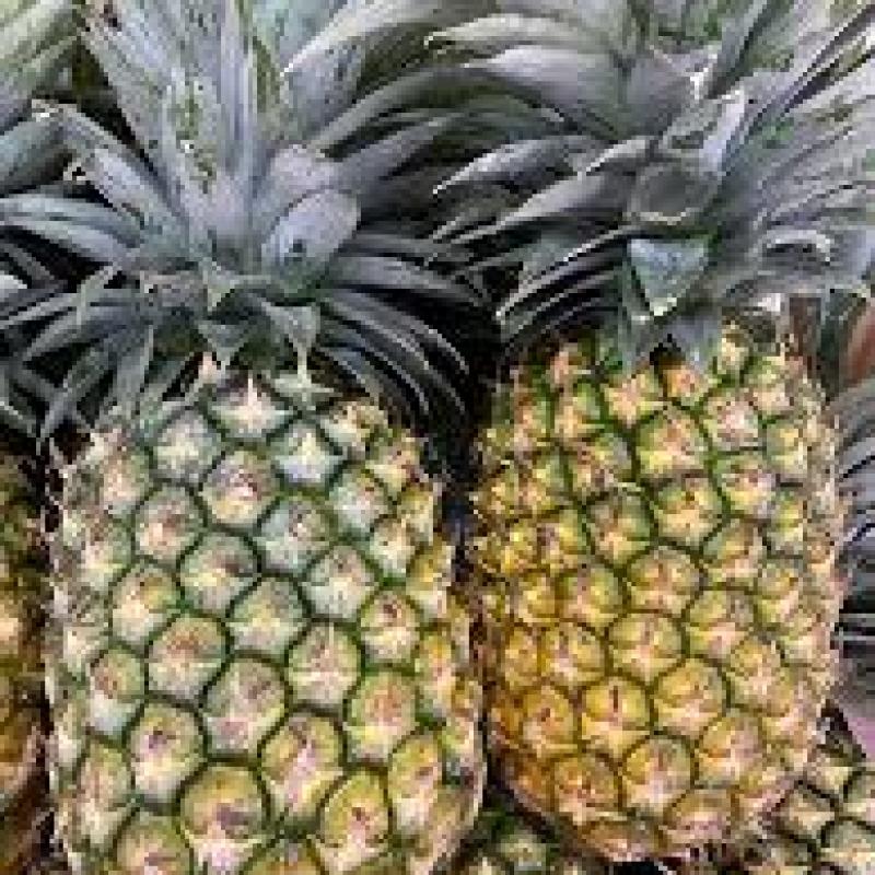 Pineapple Bethonga With Top Each
