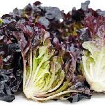 Lett Oak Red #8 Case 4kg