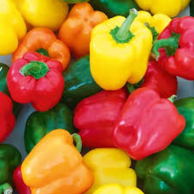 Capsicum Mixed Colour 8Kg Case