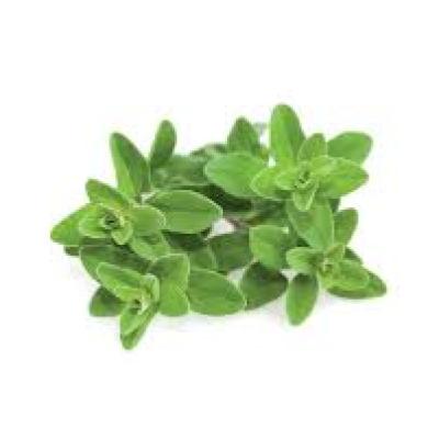 Marjoram 100G Bunch