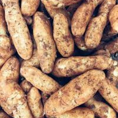 Potato Kipfler 10Kg Case