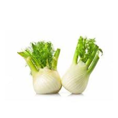 Fennel Bulb Large 250g/Ea