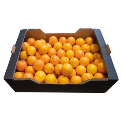 Orange Large 15Kg Case