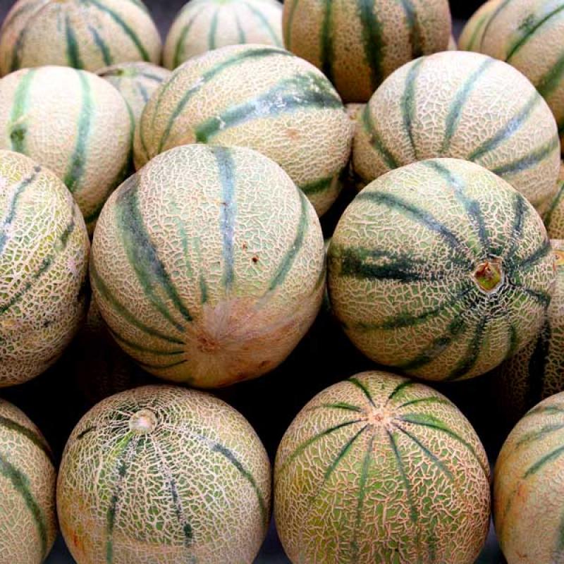 Melon Rock 14Kg Tray