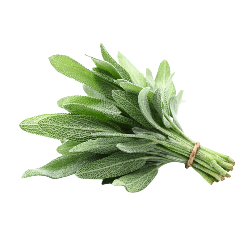 Sage Bunch 100G Bunch