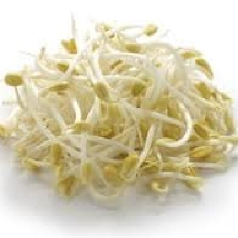 Bean Sprout 1Kg Bag