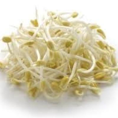 Bean Sprout 1Kg Bag