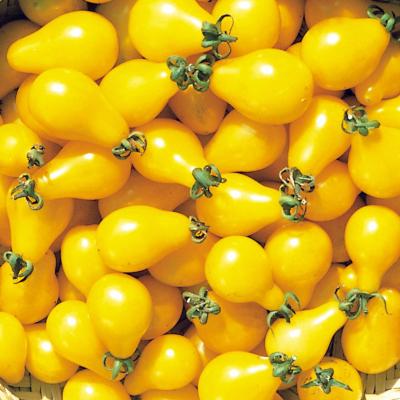 Tomato Tear Drop Yellow 250G Punnet