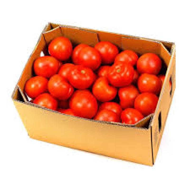 Tomatoes Medium 10Kg Case