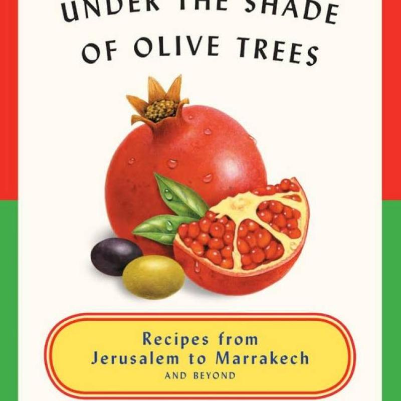 Under the Shade of Olive Trees