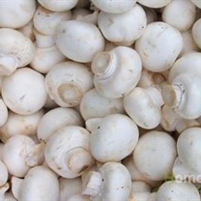Mushrooms Button 4Kg Case